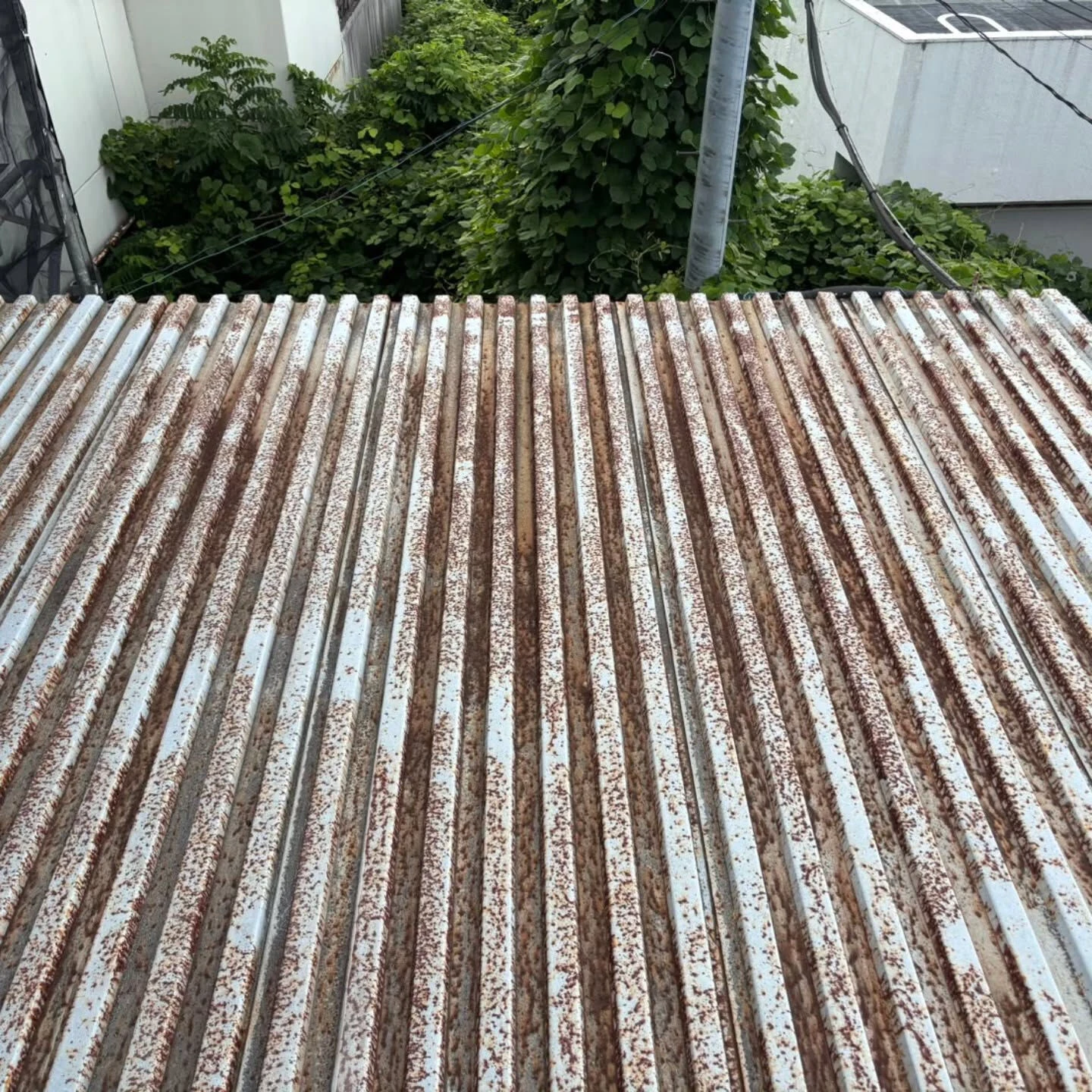 仕上がりの違いを感じてみませんか？
